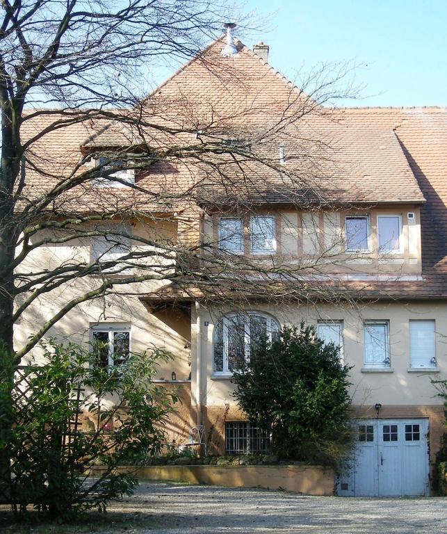Aux Berges De La Thur Staffelfelden Esterno foto